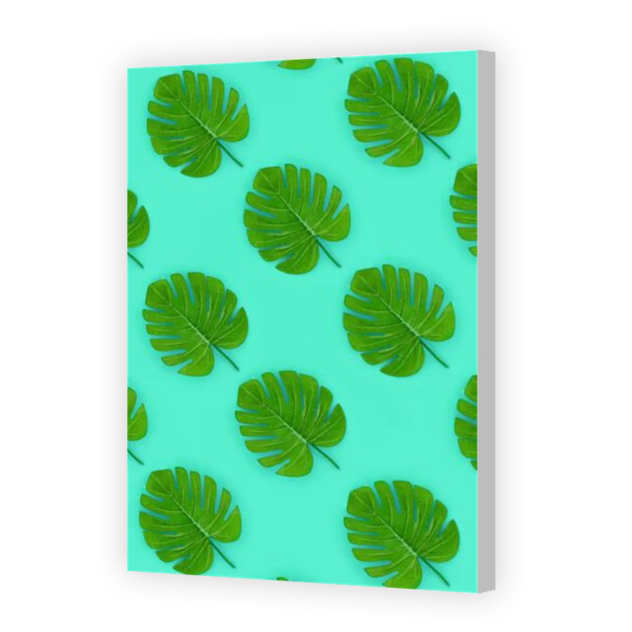 Thumbnail for Canvas - Coloured Canvas Wrap