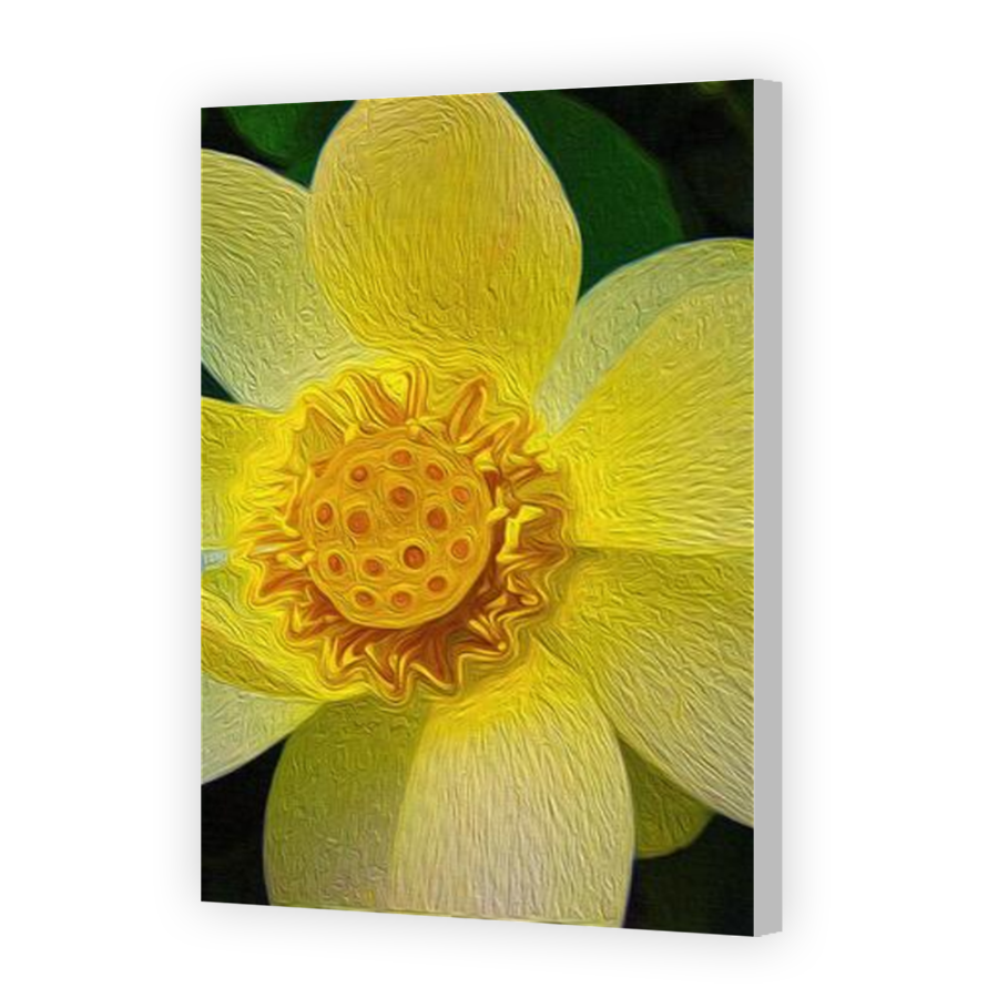Thumbnail for Canvas - Coloured Canvas Wrap