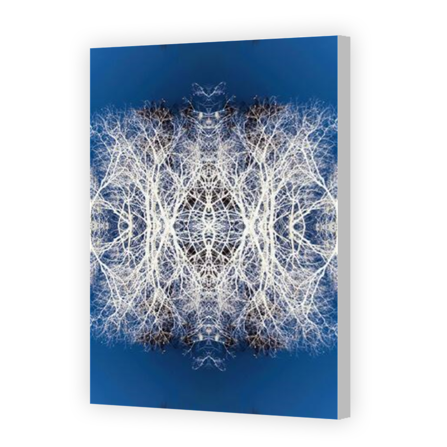 Thumbnail for Canvas - Coloured Canvas Wrap