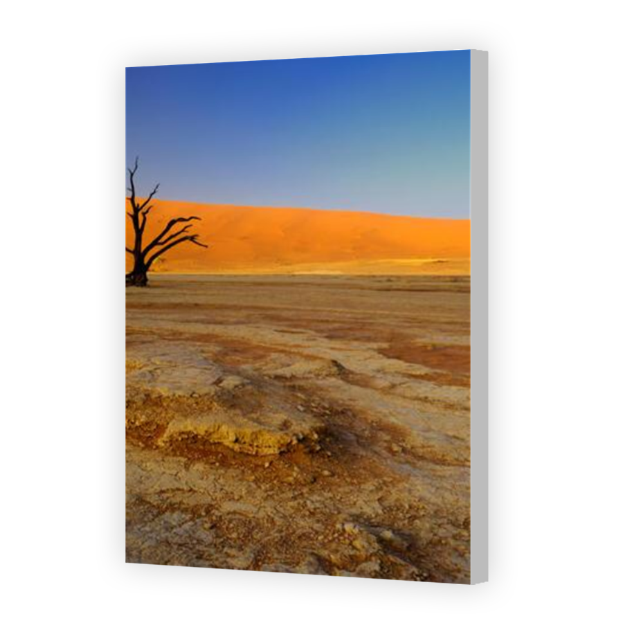 Thumbnail for Canvas - Coloured Canvas Wrap