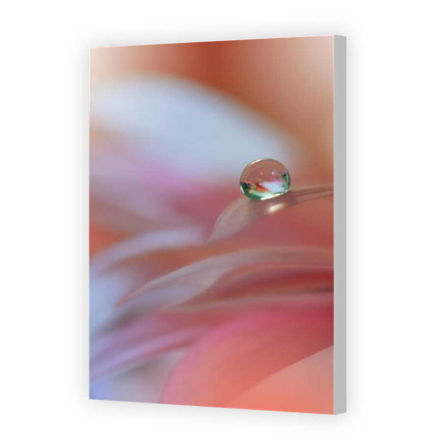 Thumbnail for Canvas - Coloured Canvas Wrap