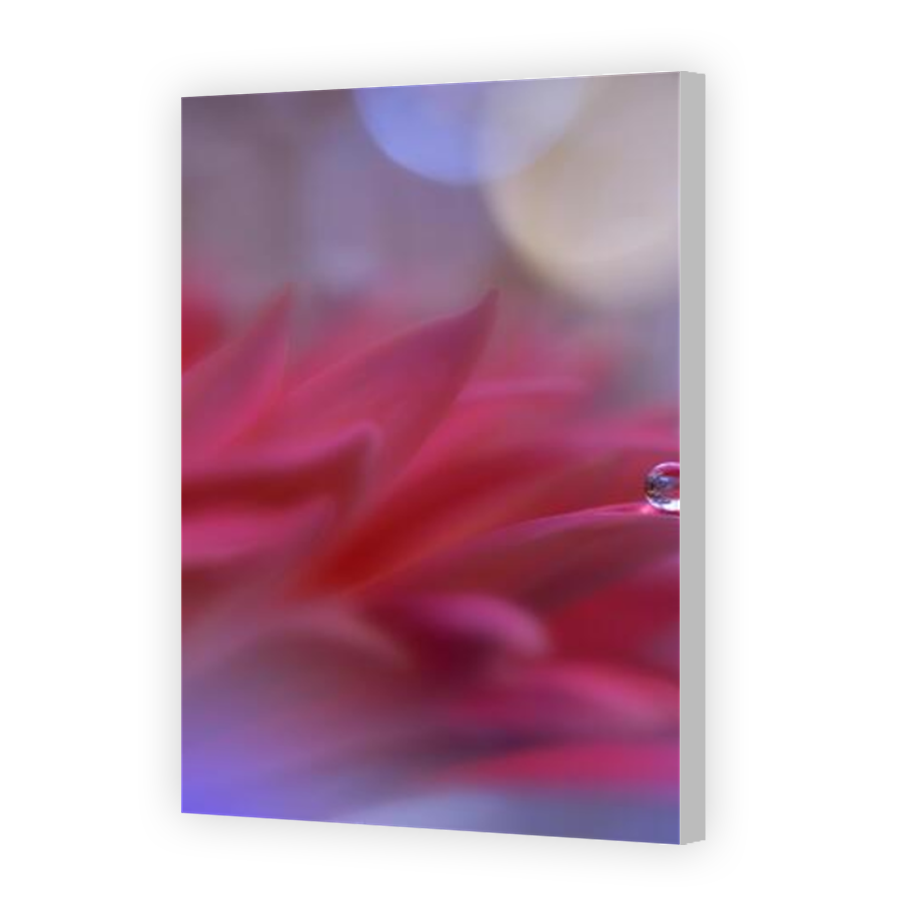 Thumbnail for Canvas - Coloured Canvas Wrap