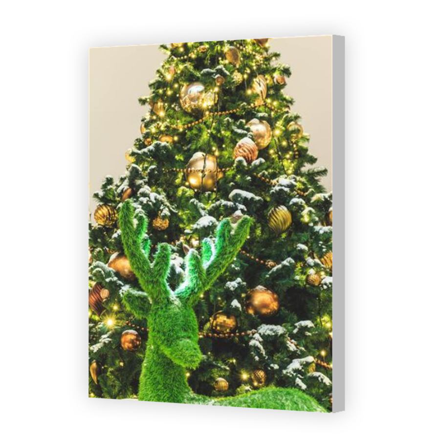 Thumbnail for Canvas - Coloured Canvas Wrap