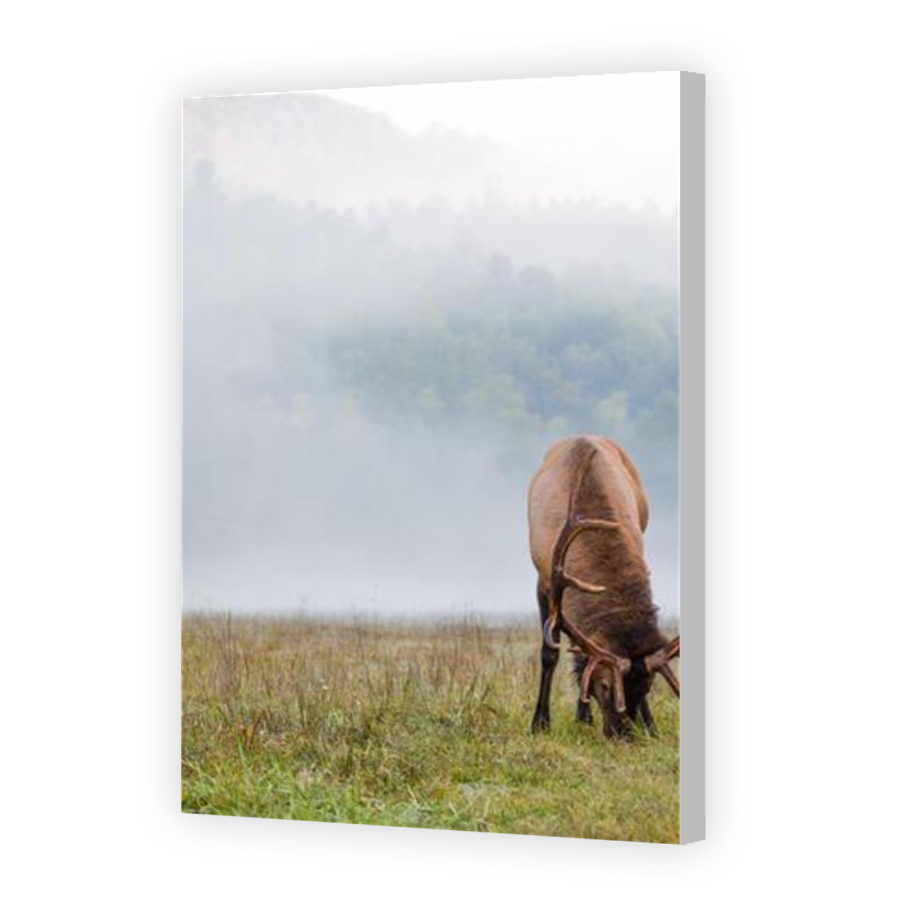 Thumbnail for Canvas - Coloured Canvas Wrap