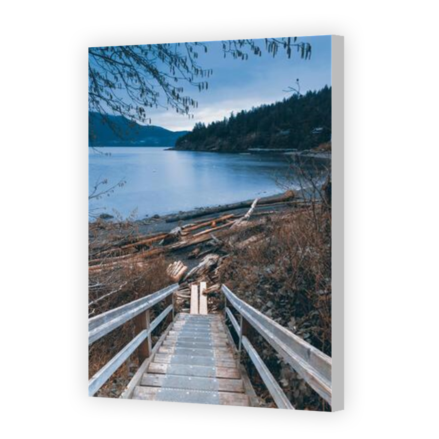 Thumbnail for Canvas - Coloured Canvas Wrap