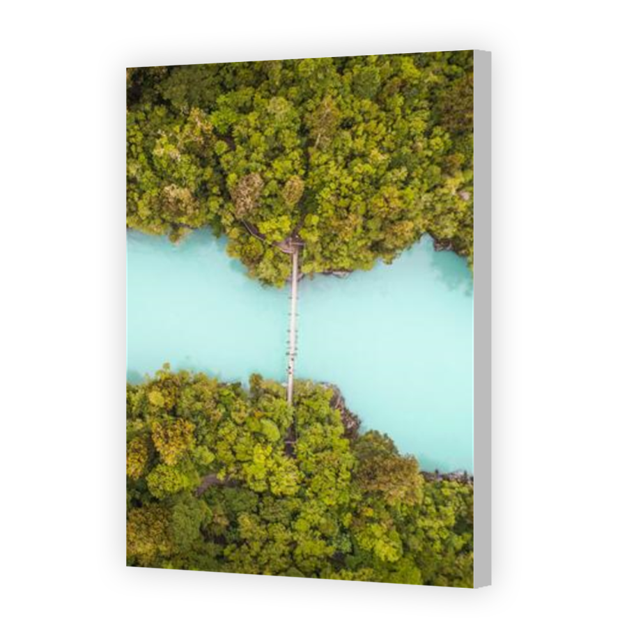 Thumbnail for Canvas - Coloured Canvas Wrap