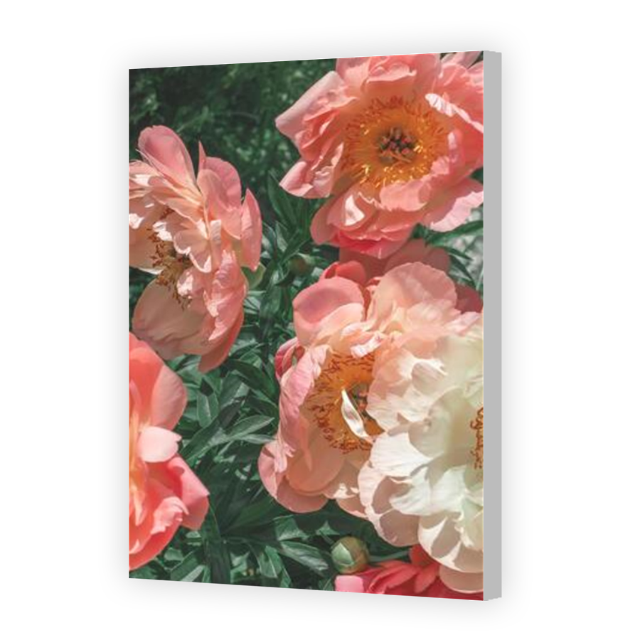 Thumbnail for Canvas - Coloured Canvas Wrap