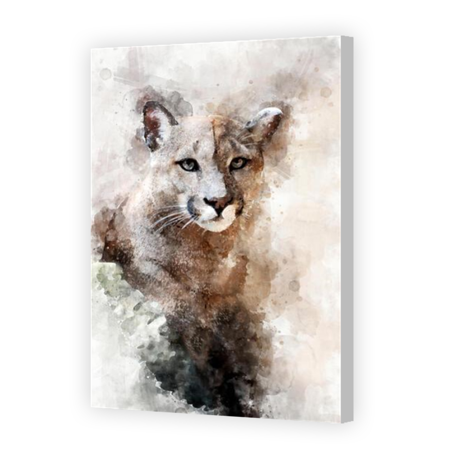 Thumbnail for Canvas - Coloured Canvas Wrap