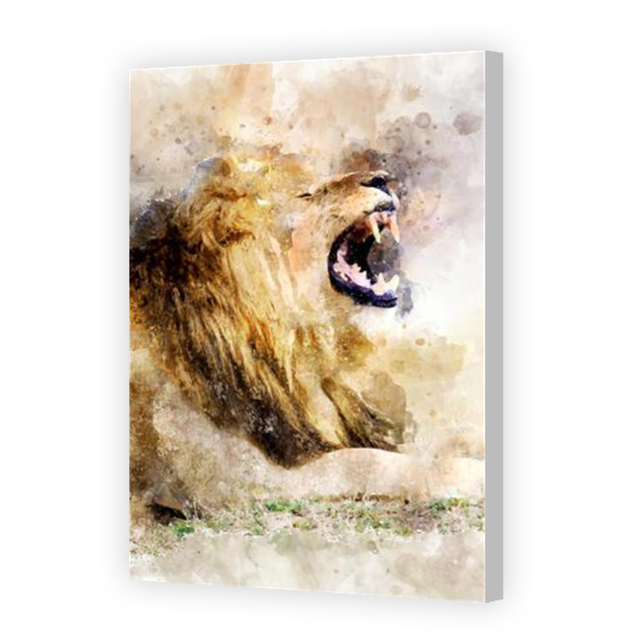 Thumbnail for Canvas - Coloured Canvas Wrap