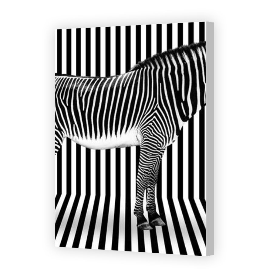 Thumbnail for Canvas - Coloured Canvas Wrap