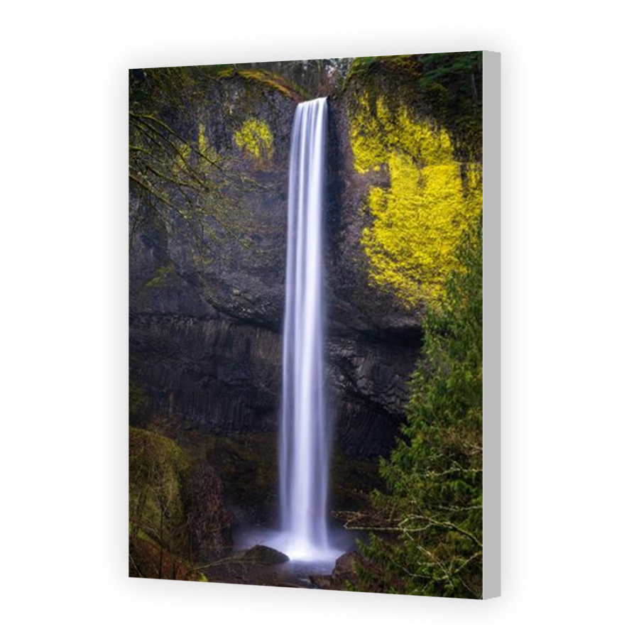 Thumbnail for Canvas - Coloured Canvas Wrap