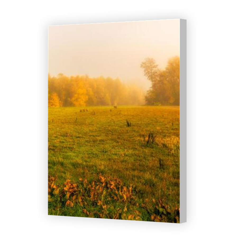 Thumbnail for Canvas - Coloured Canvas Wrap
