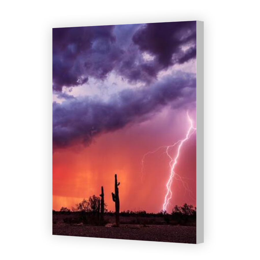 Thumbnail for Canvas - Coloured Canvas Wrap