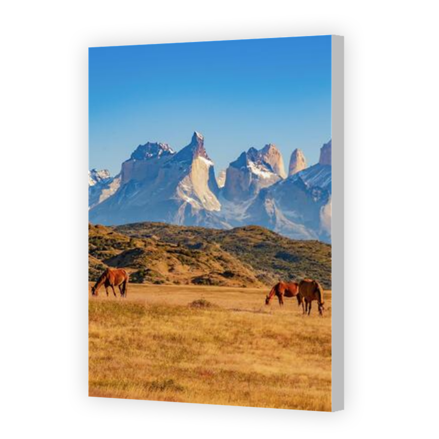 Thumbnail for Canvas - Coloured Canvas Wrap