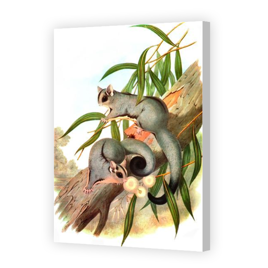 Thumbnail for Canvas - Coloured Canvas Wrap