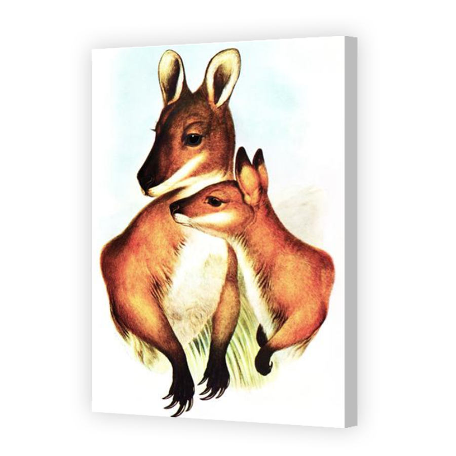 Thumbnail for Canvas - Coloured Canvas Wrap