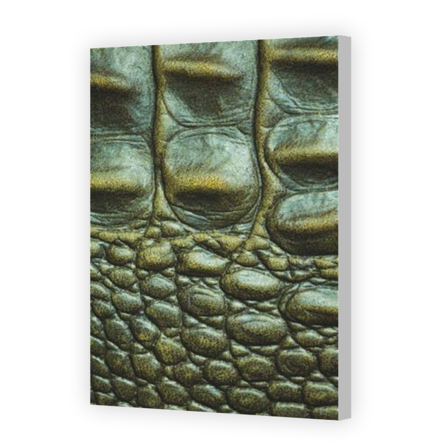 Thumbnail for Canvas - Coloured Canvas Wrap