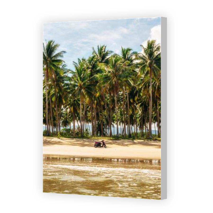 Thumbnail for Canvas - Coloured Canvas Wrap
