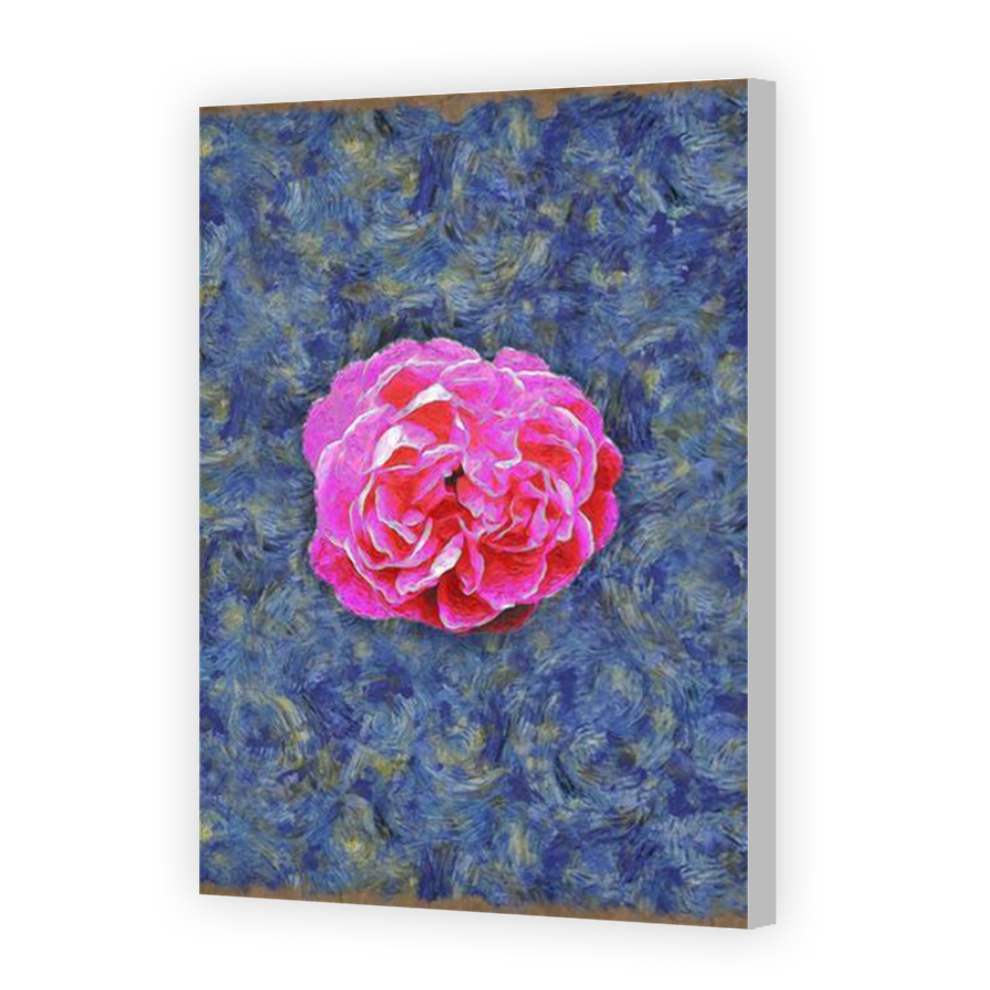 Thumbnail for Canvas - Coloured Canvas Wrap