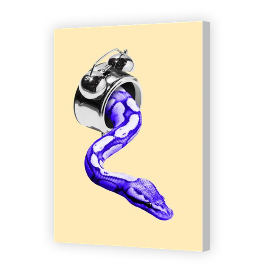 Thumbnail for Canvas - Coloured Canvas Wrap