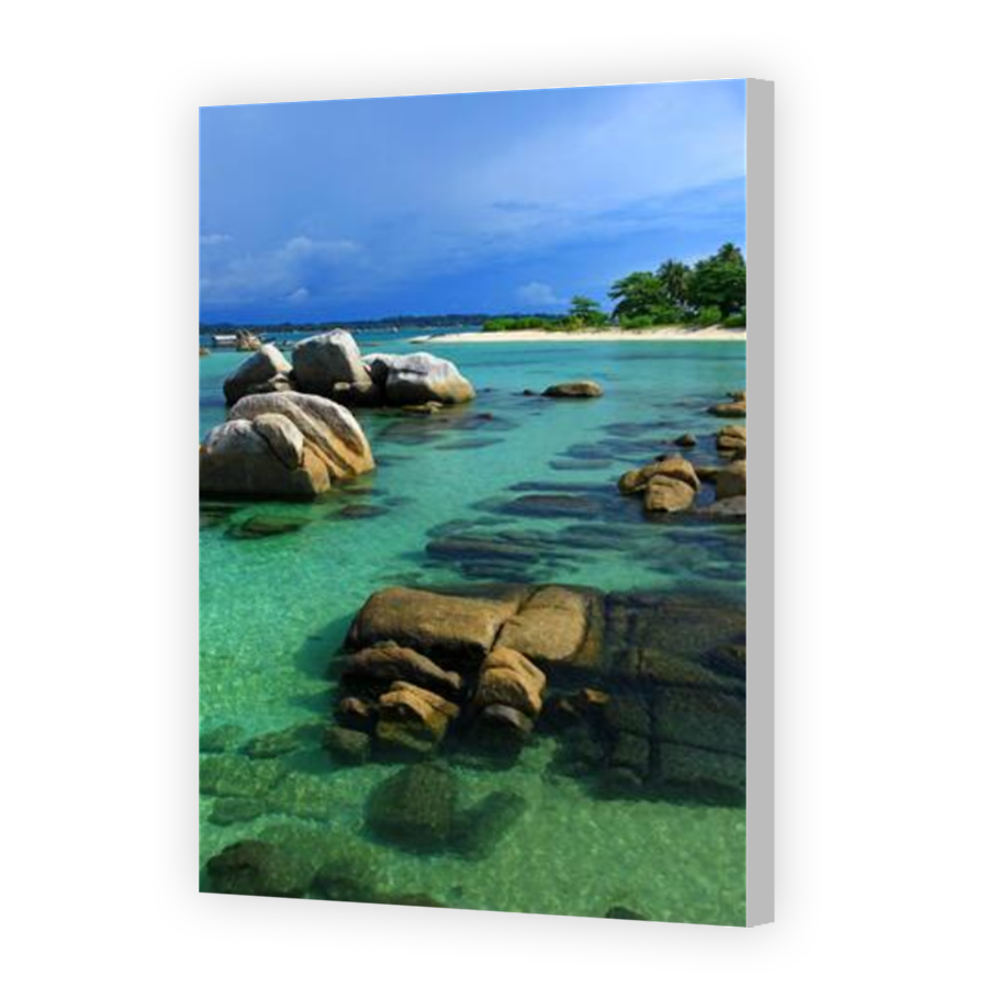 Thumbnail for Canvas - Coloured Canvas Wrap