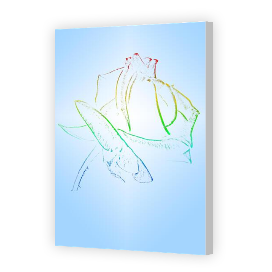 Thumbnail for Canvas - Coloured Canvas Wrap