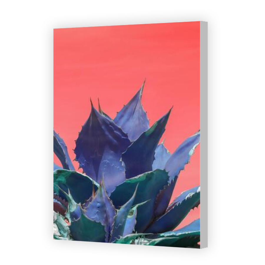 Thumbnail for Canvas - Coloured Canvas Wrap
