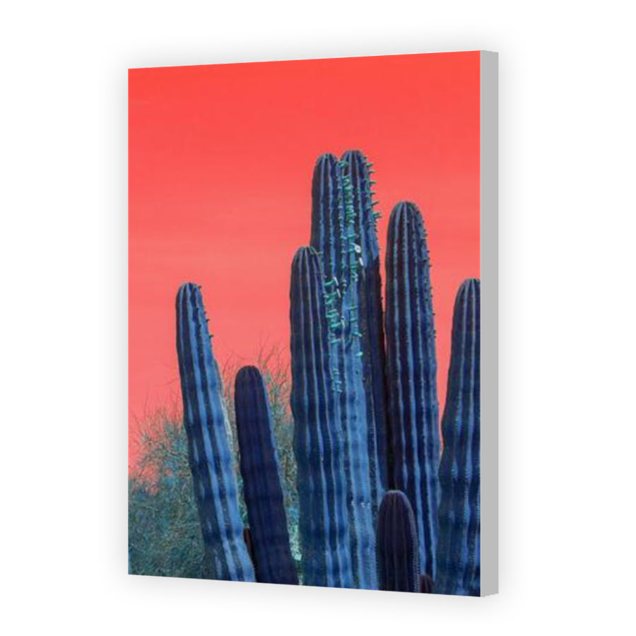 Thumbnail for Canvas - Coloured Canvas Wrap