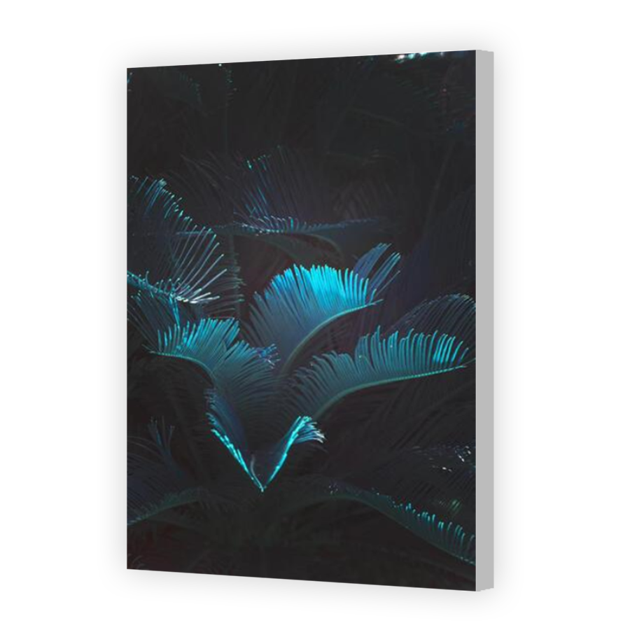Thumbnail for Canvas - Coloured Canvas Wrap
