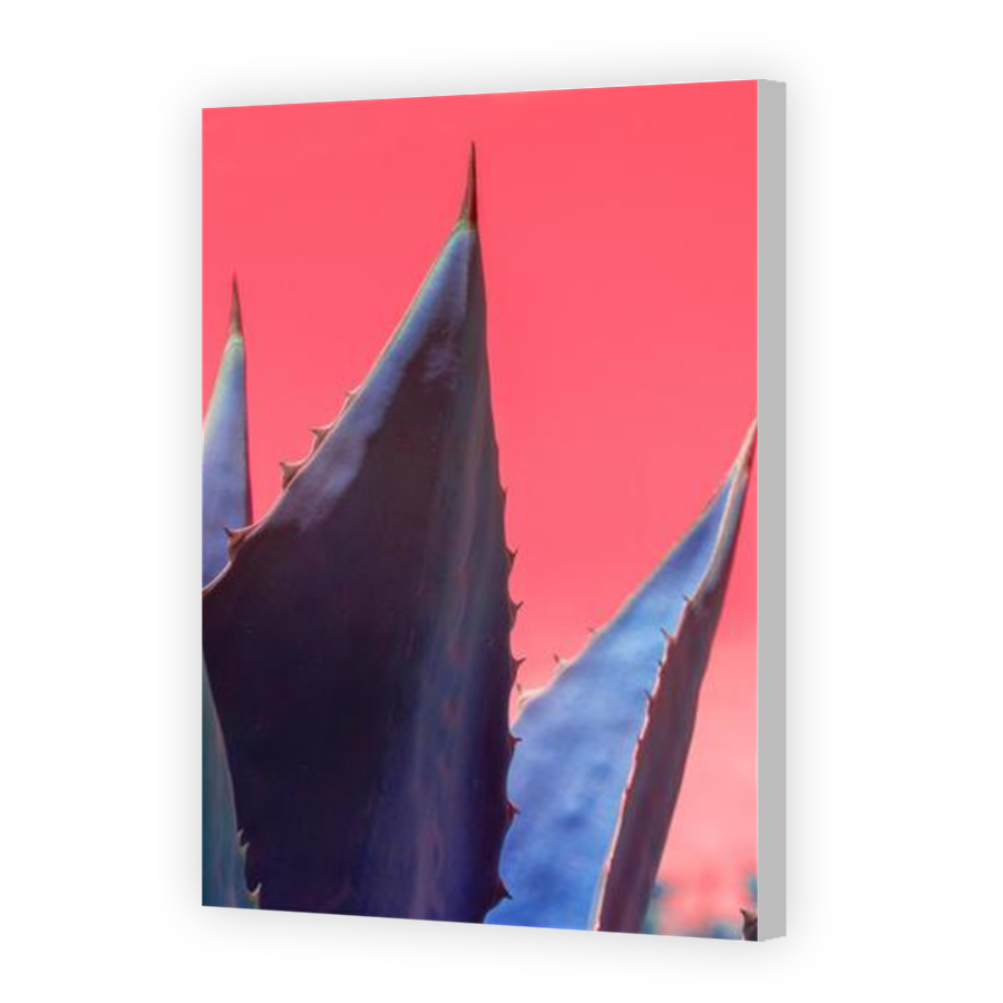 Thumbnail for Canvas - Coloured Canvas Wrap