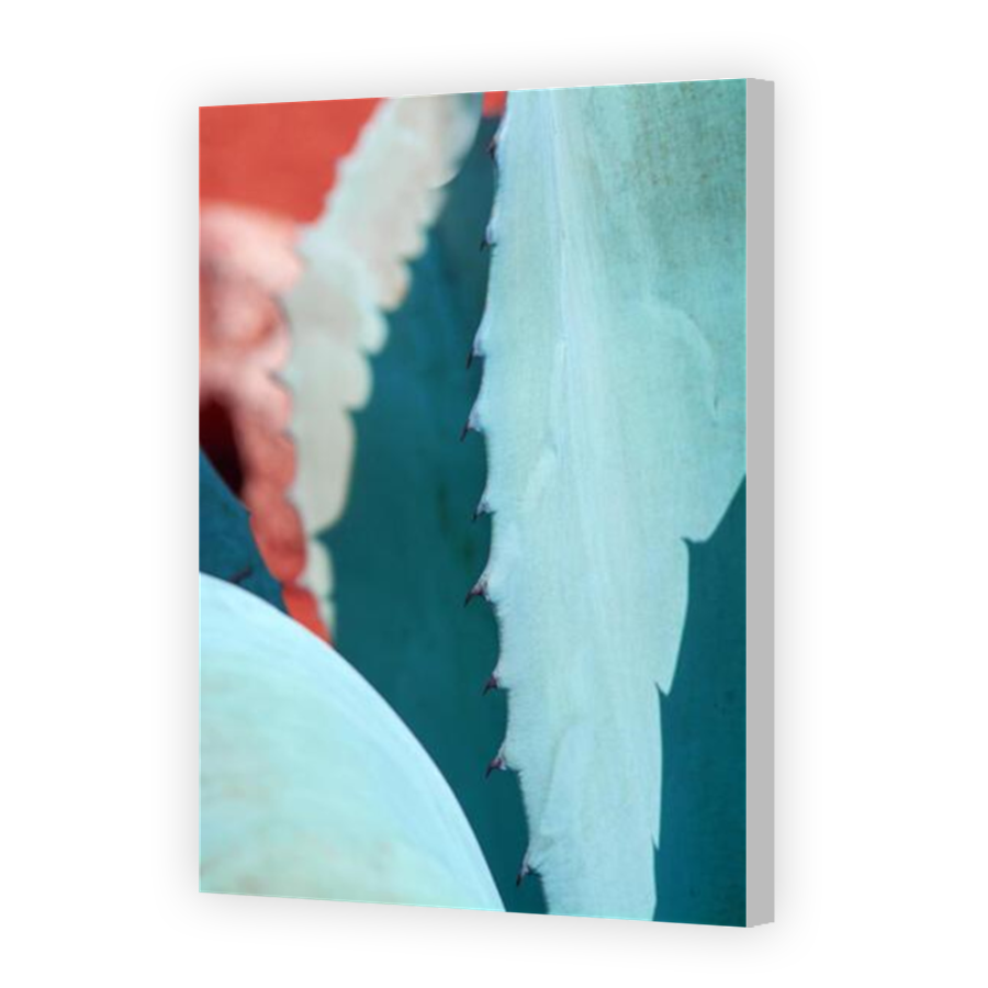 Thumbnail for Canvas - Coloured Canvas Wrap