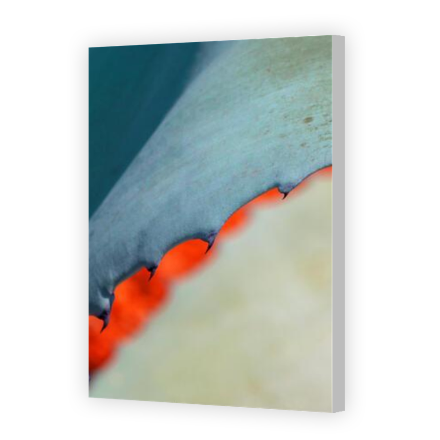 Thumbnail for Canvas - Coloured Canvas Wrap