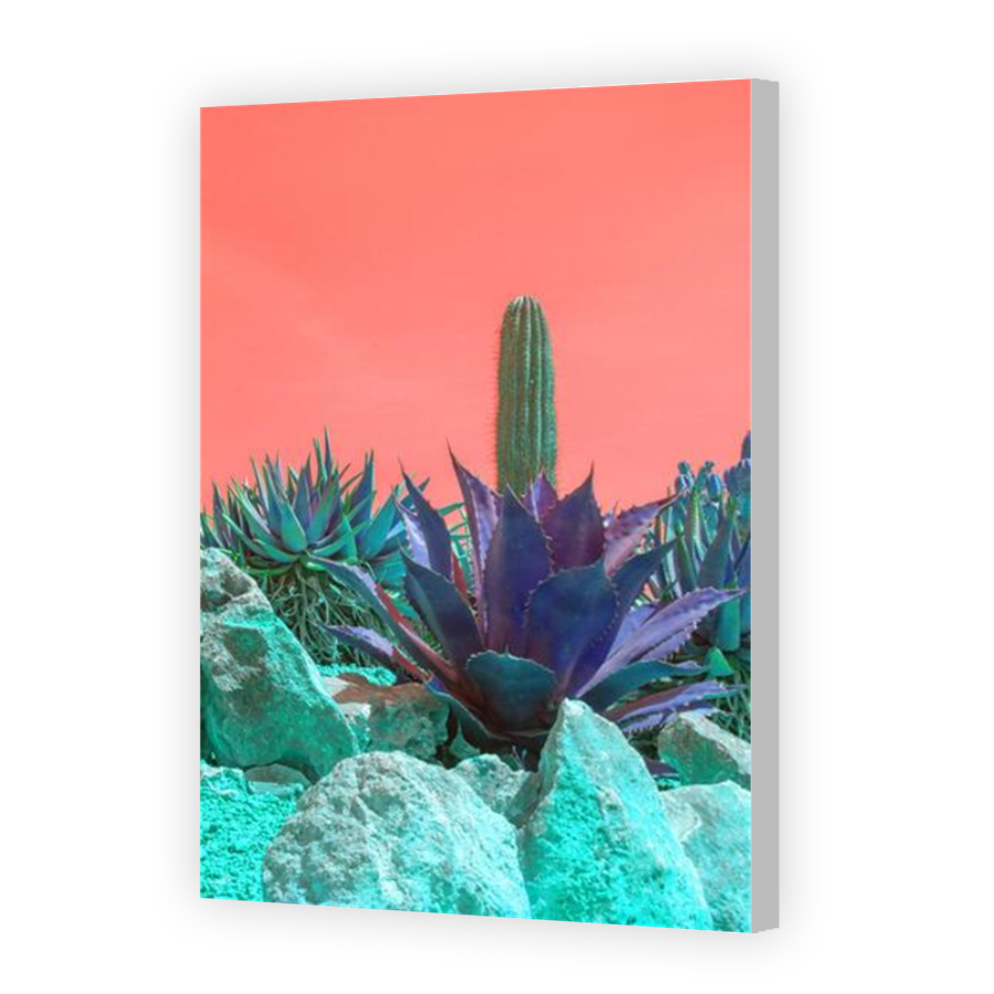 Thumbnail for Canvas - Coloured Canvas Wrap