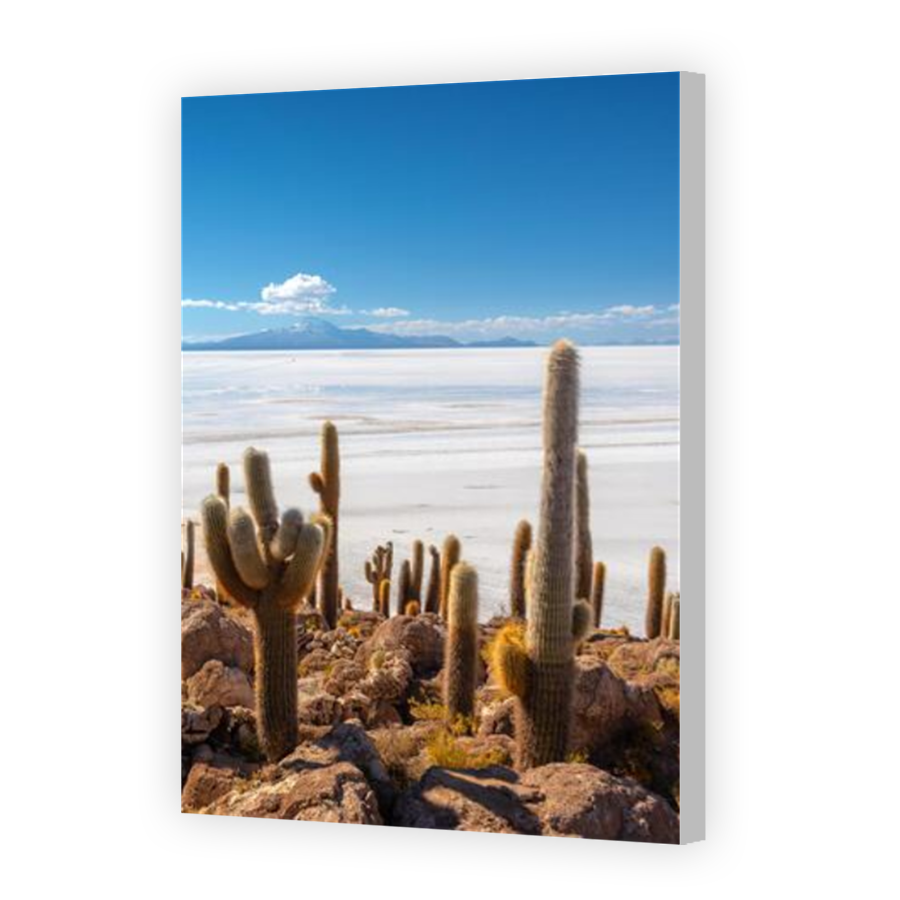 Thumbnail for Canvas - Coloured Canvas Wrap