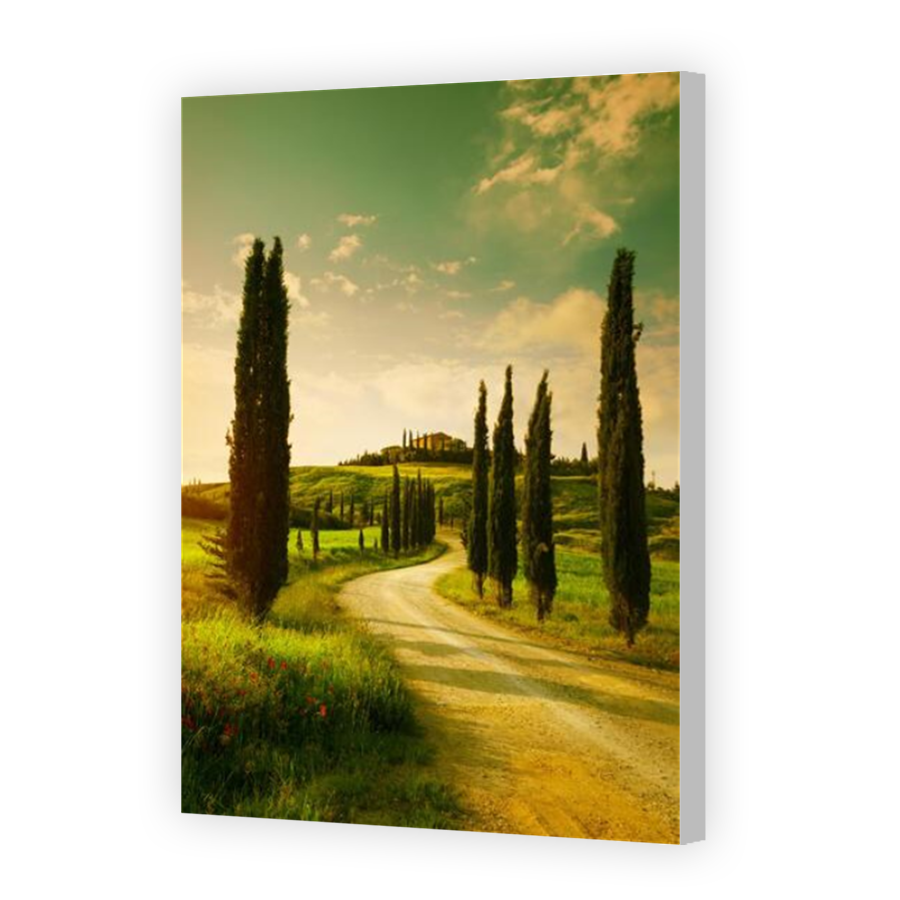 Thumbnail for Canvas - Coloured Canvas Wrap