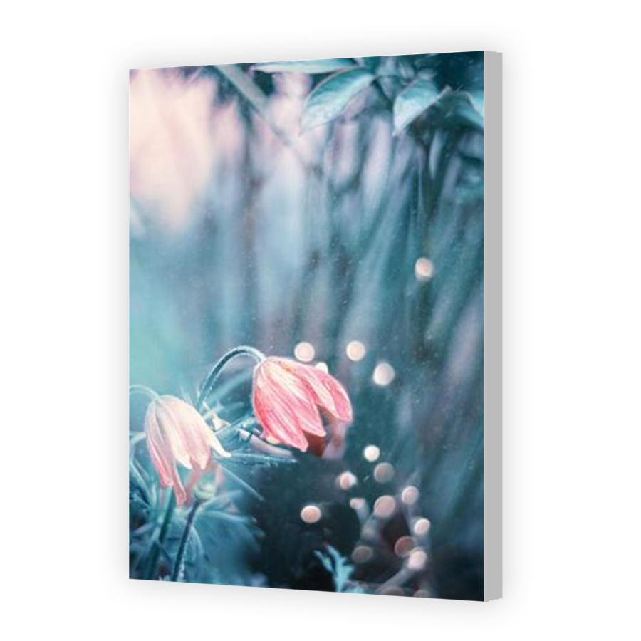 Thumbnail for Canvas - Coloured Canvas Wrap