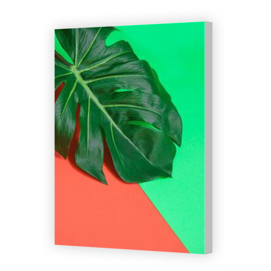 Thumbnail for Canvas - Coloured Canvas Wrap