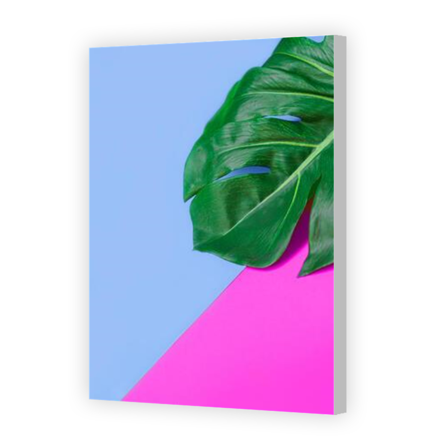 Thumbnail for Canvas - Coloured Canvas Wrap