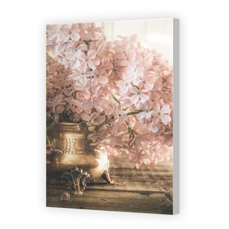 Thumbnail for Canvas - Coloured Canvas Wrap
