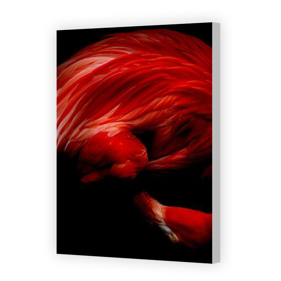 Thumbnail for Canvas - Coloured Canvas Wrap