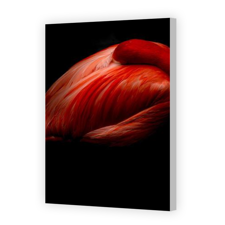 Thumbnail for Canvas - Coloured Canvas Wrap