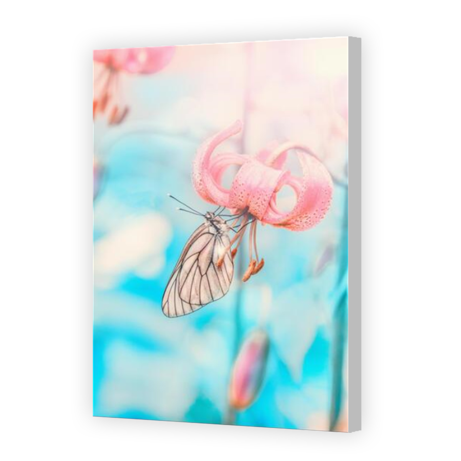 Thumbnail for Canvas - Coloured Canvas Wrap