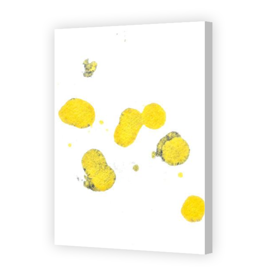 Thumbnail for Canvas - Coloured Canvas Wrap