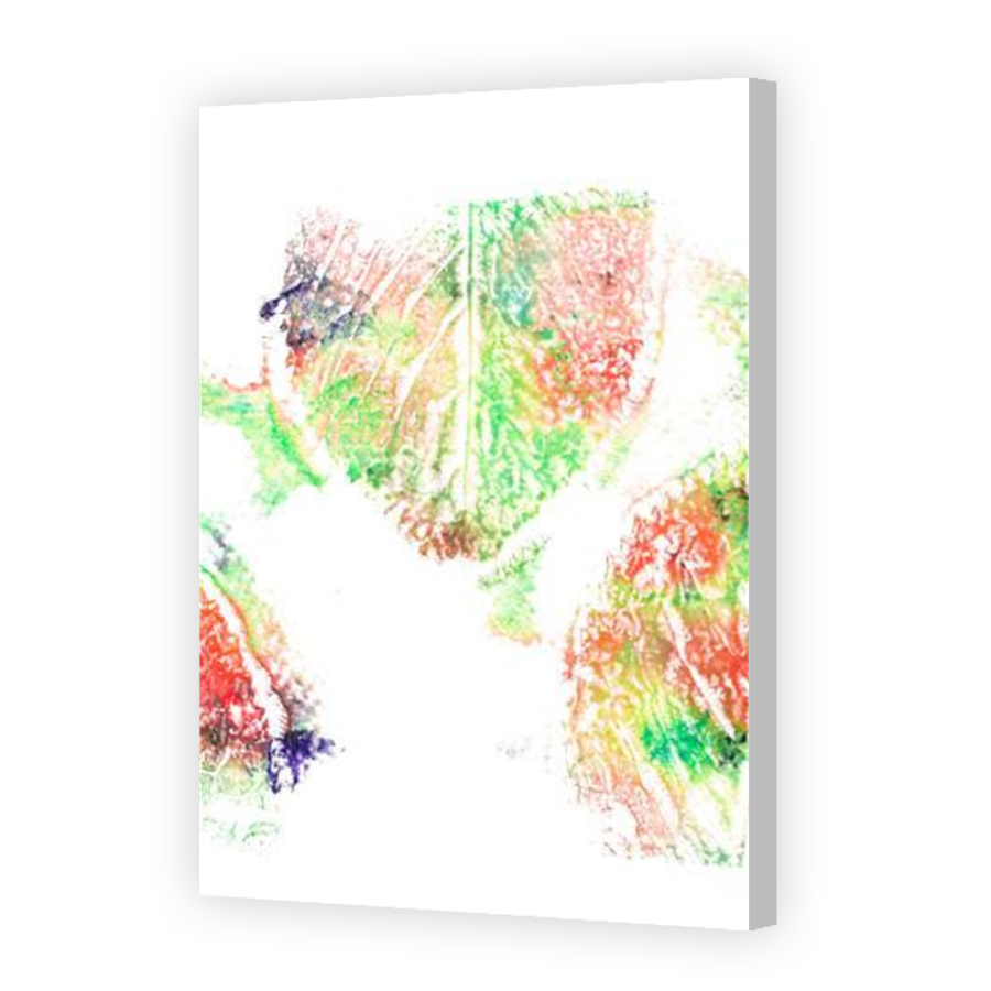 Thumbnail for Canvas - Coloured Canvas Wrap