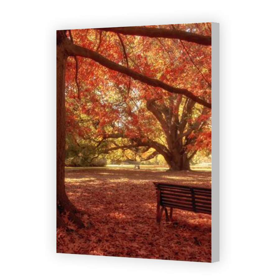 Thumbnail for Canvas - Coloured Canvas Wrap