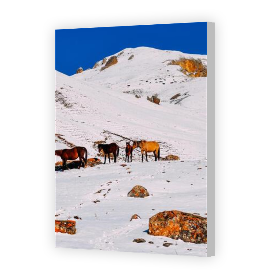 Thumbnail for Canvas - Coloured Canvas Wrap