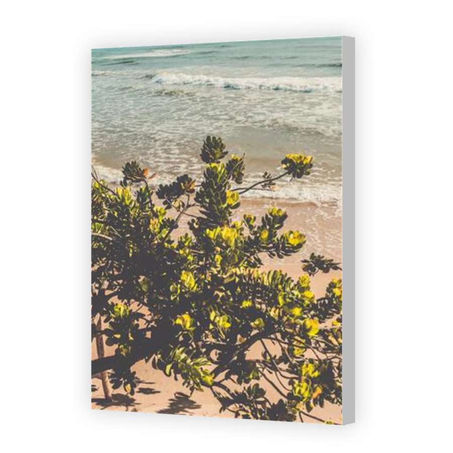 Thumbnail for Canvas - Coloured Canvas Wrap