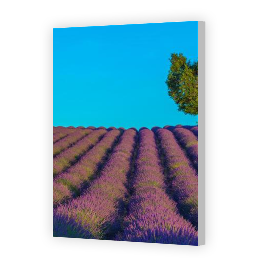 Thumbnail for Canvas - Coloured Canvas Wrap
