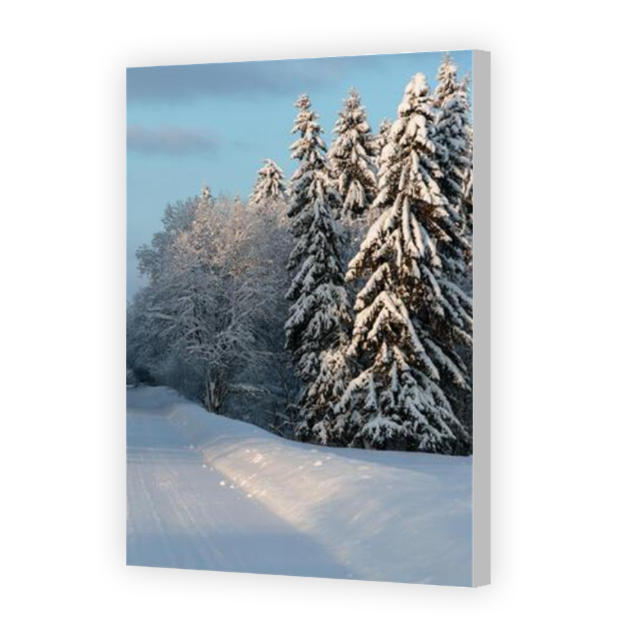 Thumbnail for Canvas - Coloured Canvas Wrap