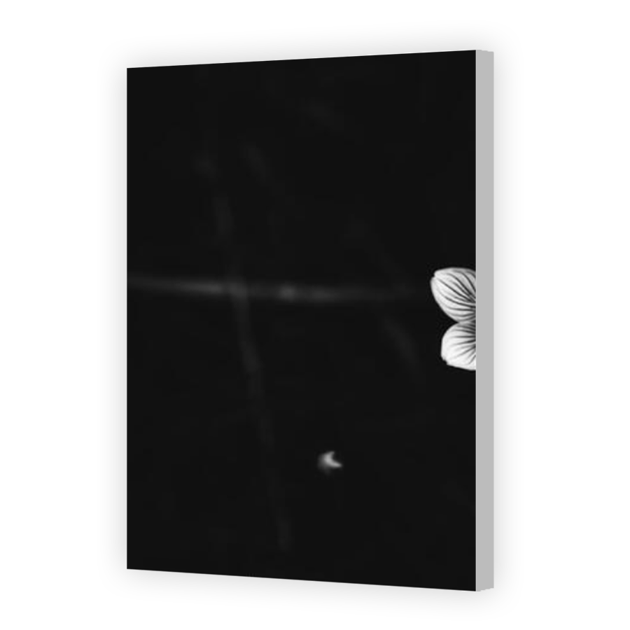 Thumbnail for Canvas - Coloured Canvas Wrap